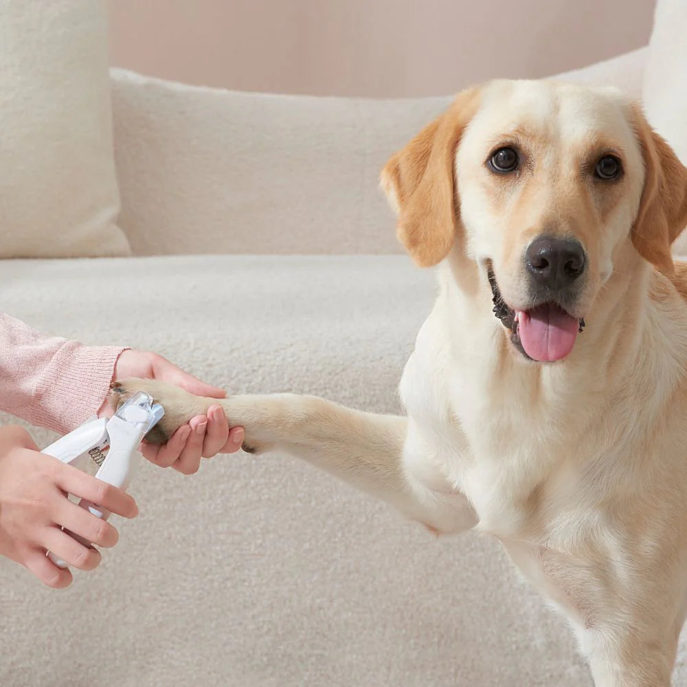 Pote Univers LED Kløtrimmer